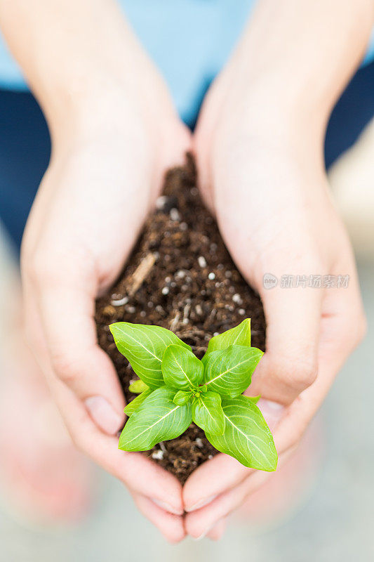 白人女孩抱着植物幼苗