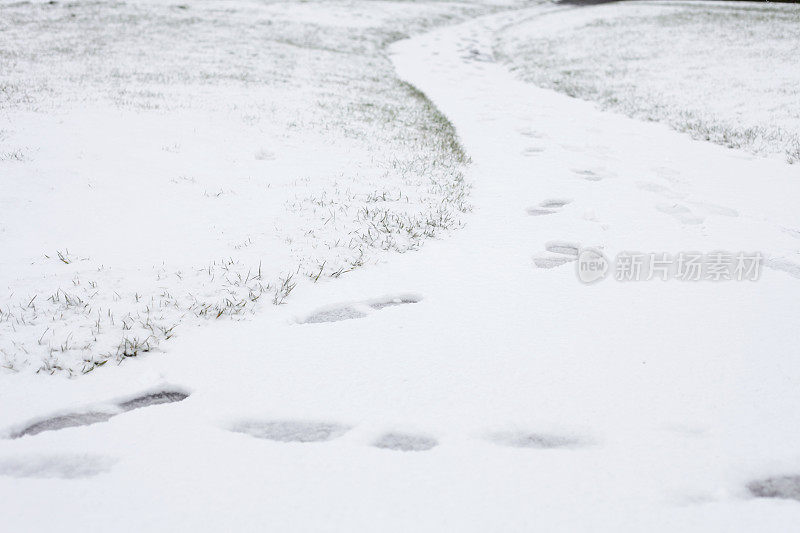 雪小路背景