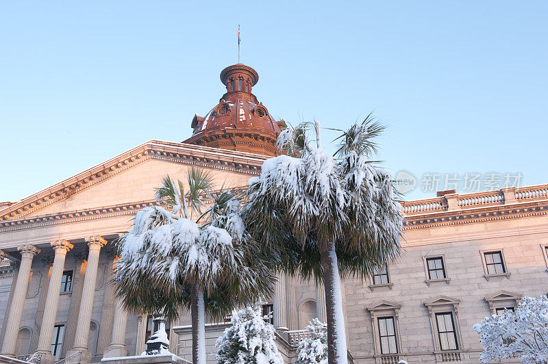 南卡罗来纳州议会大厦的棕榈树上覆盖着积雪