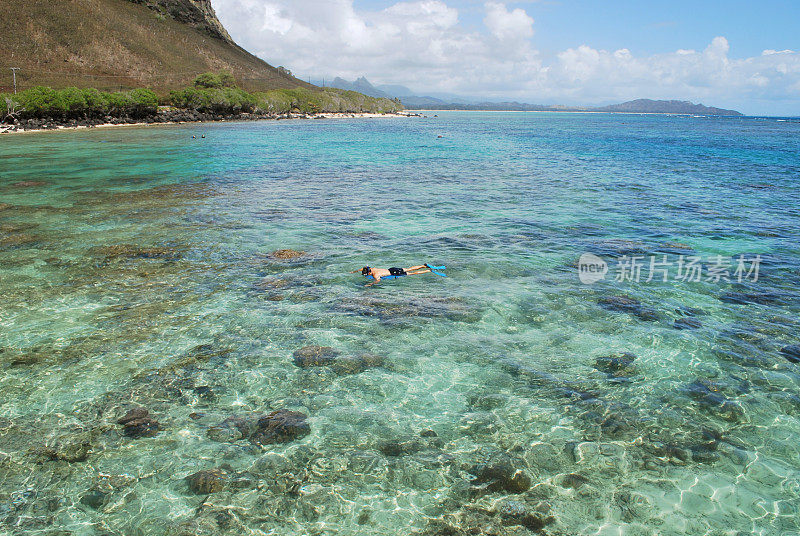 在夏威夷清澈的水域浮潜