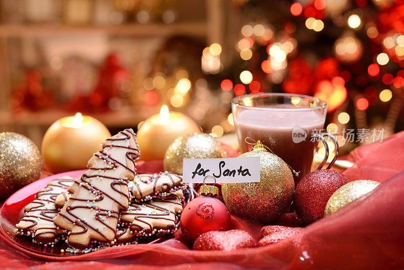 给圣诞老人的热巧克力和圣诞饼干