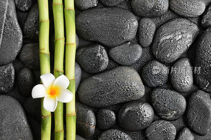 玄武岩禅宗石头，鸡蛋花和竹子在黑色的背景