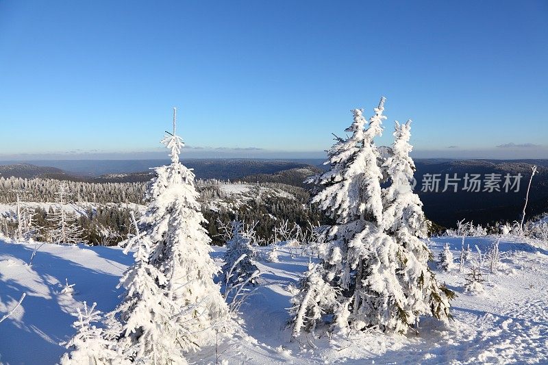 冬天的风景与雪在黑森林