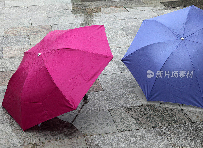 雨伞在春雨中