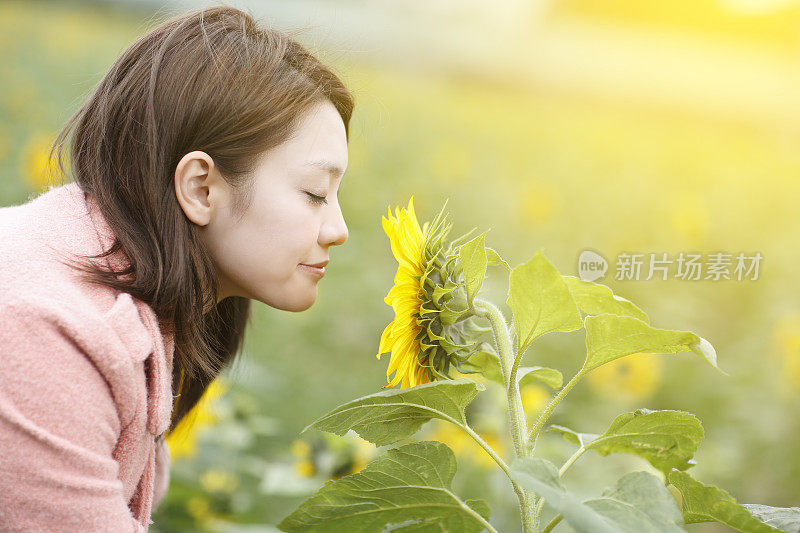 闻着向日葵的亚洲女人