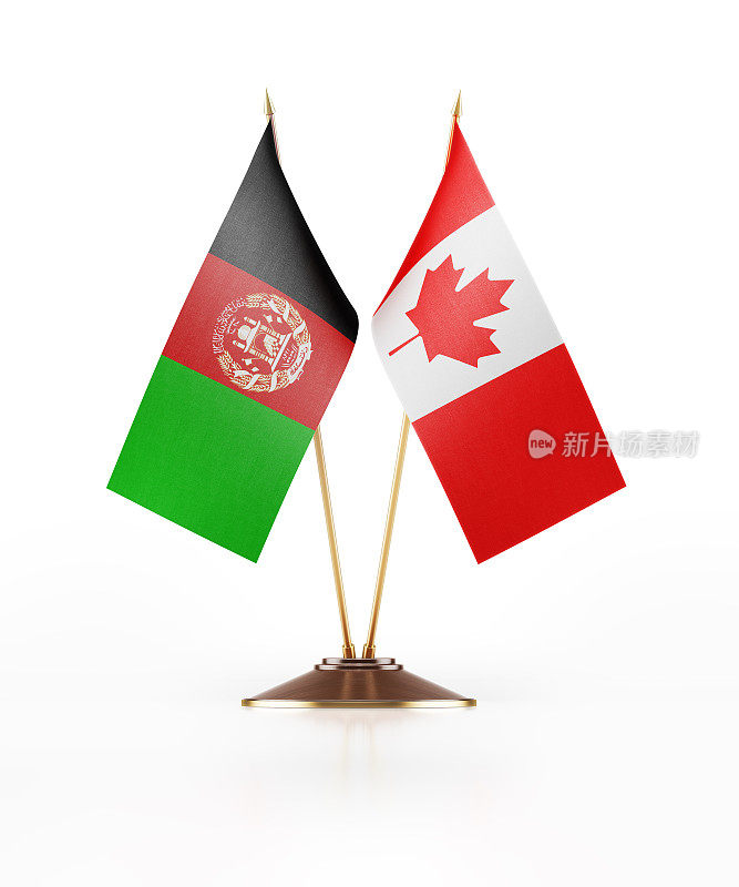 阿富汗和加拿大的微型国旗