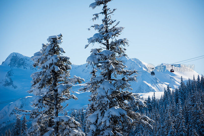 冬天的惠斯勒滑雪场