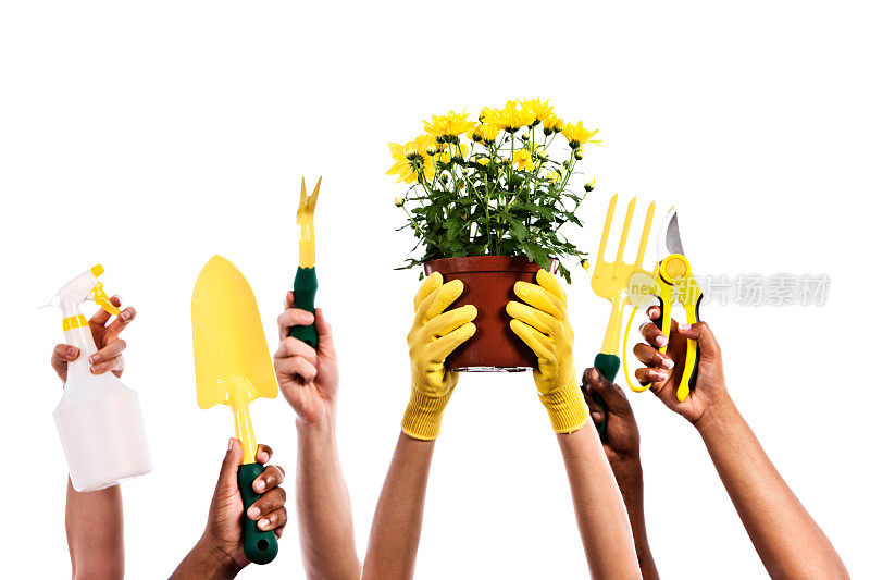 双手举起园艺工具和植物，准备工作