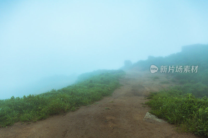 雾天的草地在山顶上