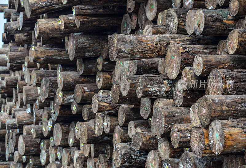 木材加工工厂