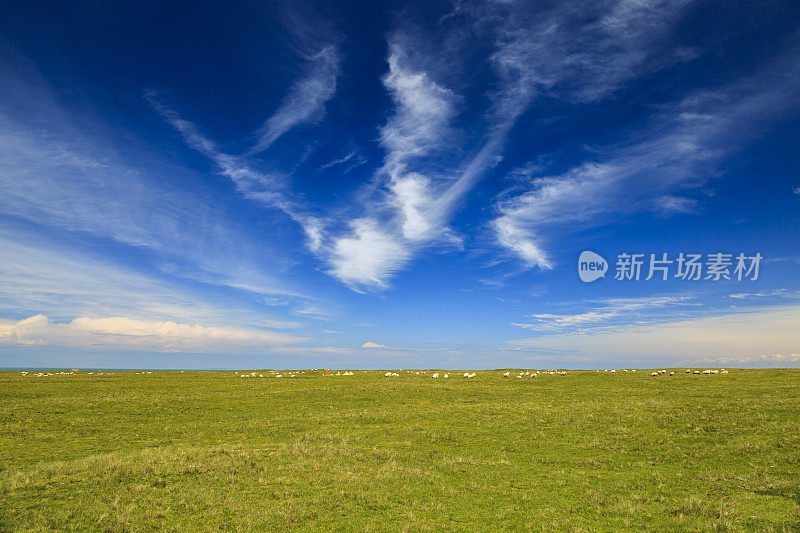 美丽的草原