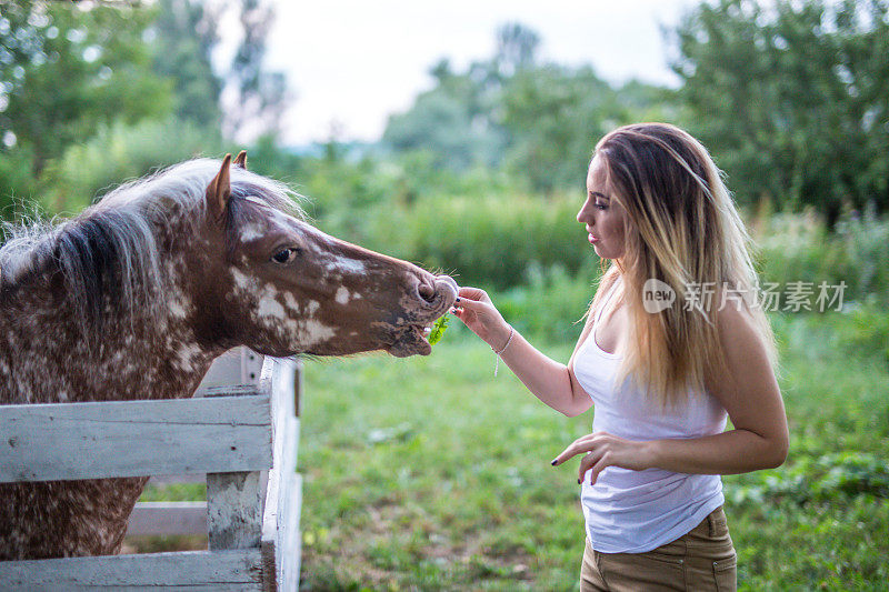 年轻快乐的女孩喂马