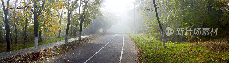秋季城市公园，小巷，慢跑和自行车道-全景横幅