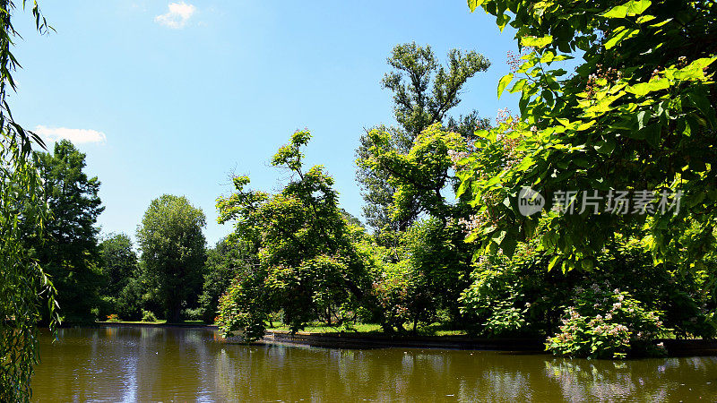 公园和湖在夏季