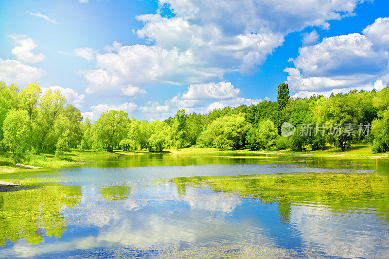 晴朗的日子里，蓝色的湖和岸边的灌木丛