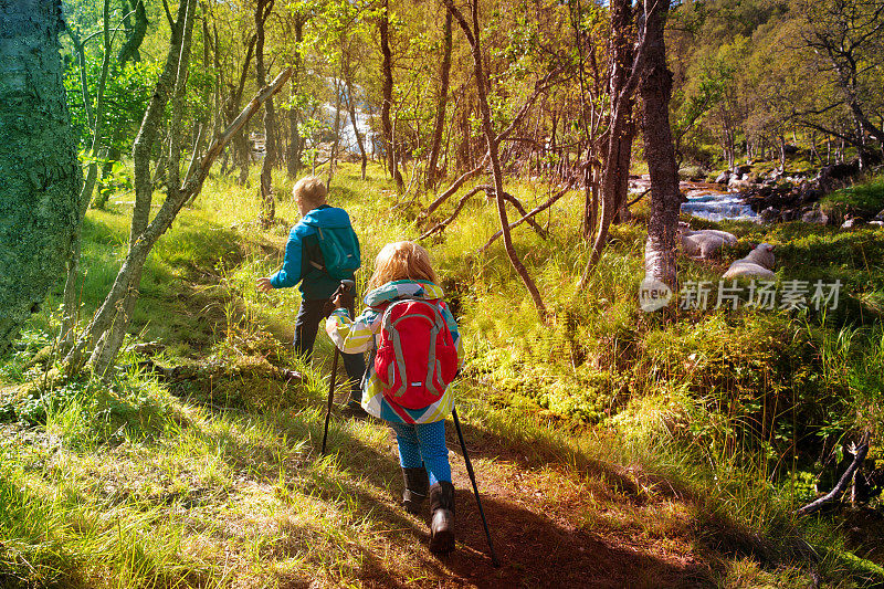 小男孩和小女孩在大自然中徒步旅行，挪威