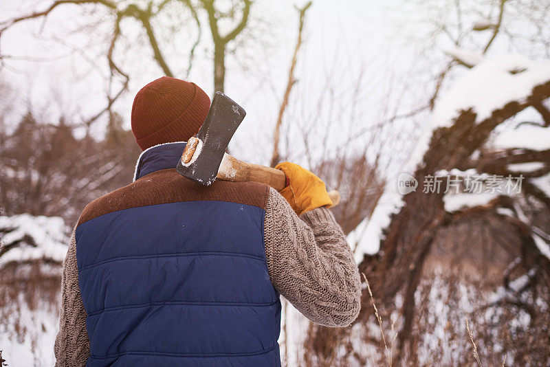 伐木工人发现老树