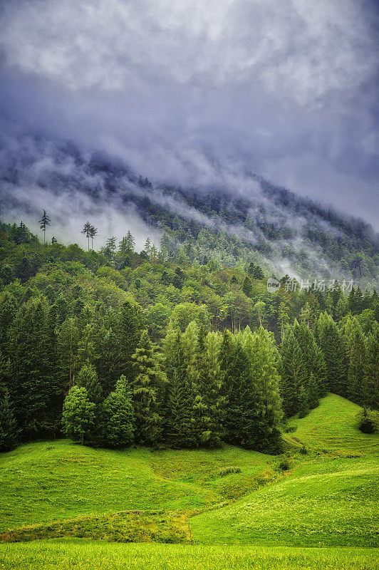 带绿色草甸的高山景观(HDRi)