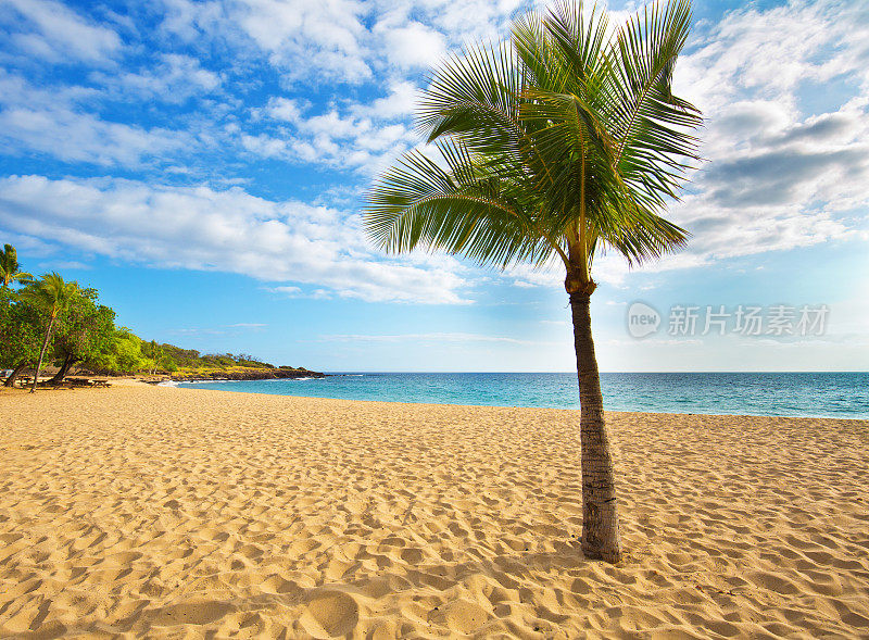 夏威夷拉奈岛的乌洛波海滩