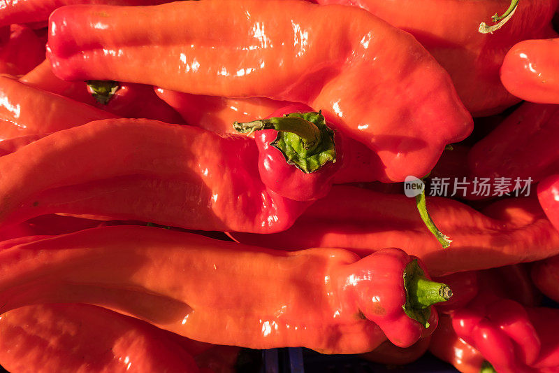 新鲜的红辣椒摊在街头有机食品市场。