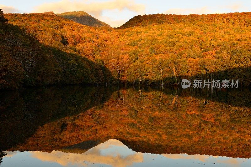 晨光的Tsuta-numa(沼泽)，和田市，日本东北部