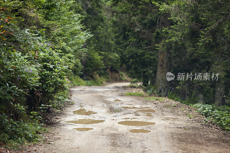 泥泞的乡村道路。