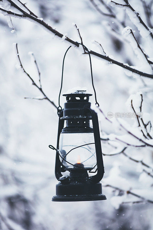 古老的灯笼挂在白雪覆盖的树枝上