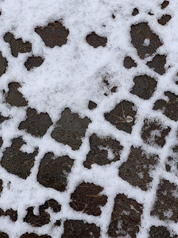 斑岩与雪