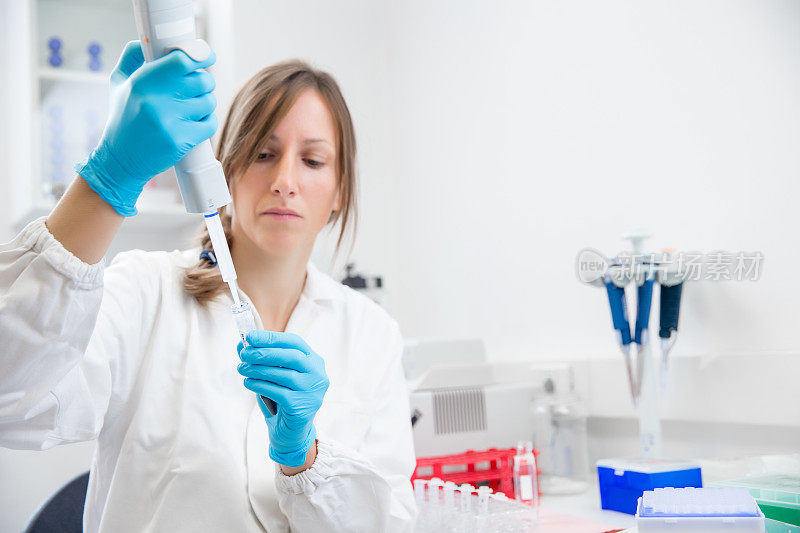 准备PCR分析DNA样本的女性研究人员