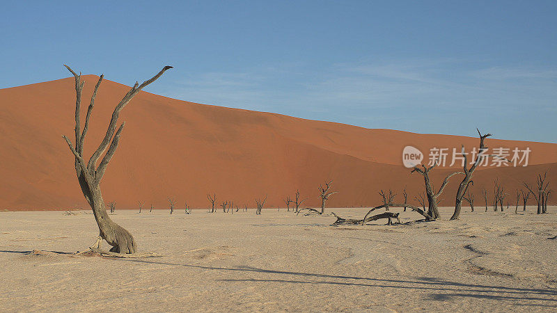 死谷Deadvlei。纳米比亚