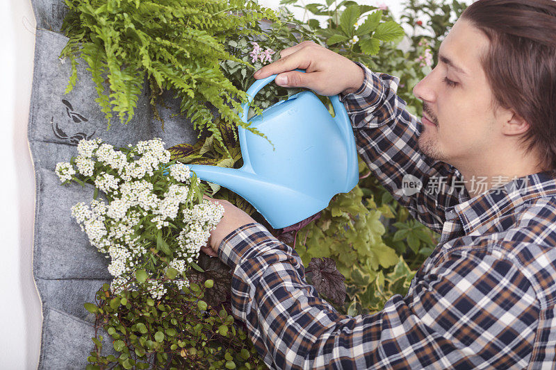 男人在给他的垂直花园浇水