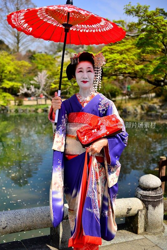 日本女人在Maiko的服装和发型享受京都的春天