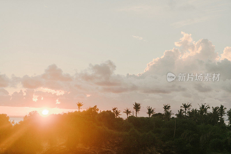 努萨切宁根棕榈树上的日落风景