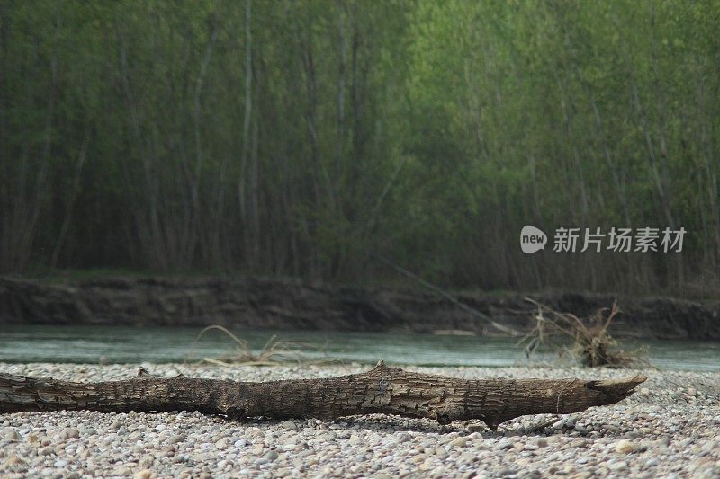 模糊河面