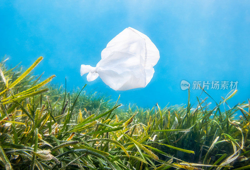 环境保护的概念。在波西多尼亚海洋中，塑料袋污染的鱼的形状