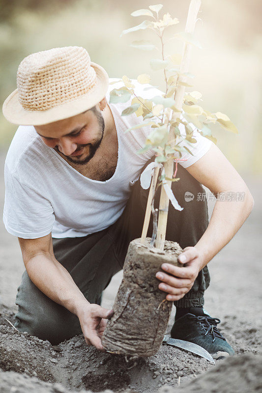 春天，人们在户外植树