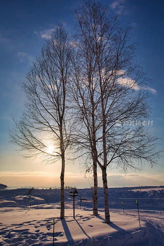 冬天的风景。Biei日本北海道