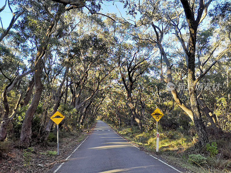 澳大利亚新南威尔士州蓝山公路