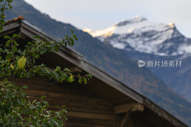 屋顶的背景是瑞士的雪山