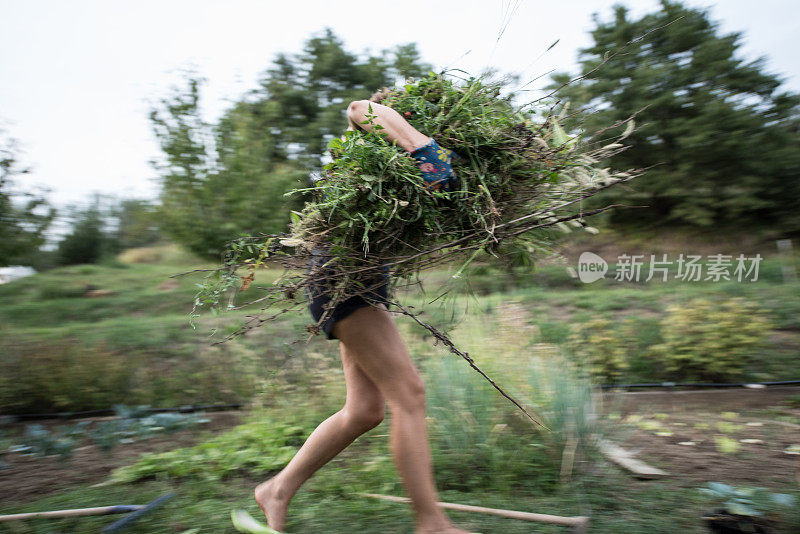 有毅力的女人在为秋季菜园做清洁和准备