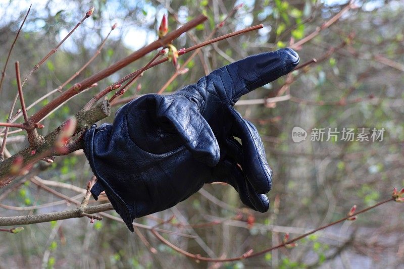 一只手套戴在小树枝上，食指露出了什么东西