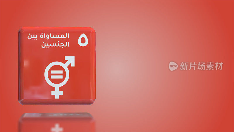 阿拉伯数字5性别平等3D盒子2030年可持续发展目标与复制空间