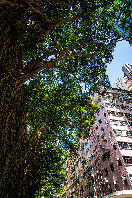 香港拥挤的房屋