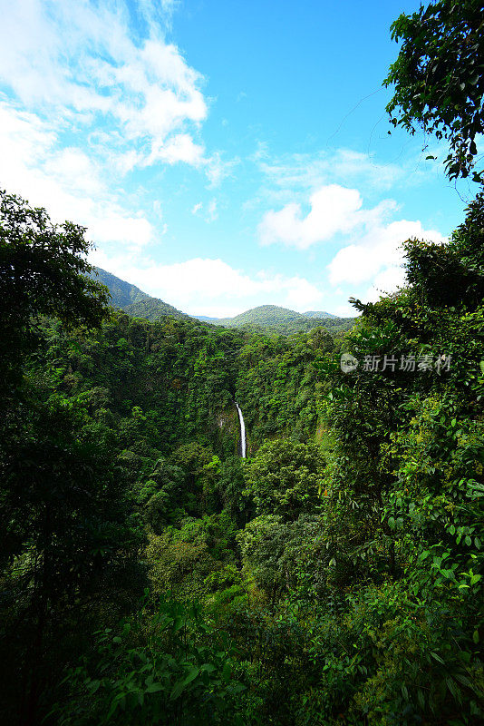 拉福尔图纳瀑布从茂密的热带雨林的悬崖上倾泻而下