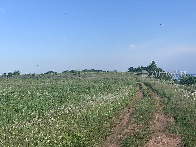 一条崎岖不平的乡村道路沿着河岸延伸