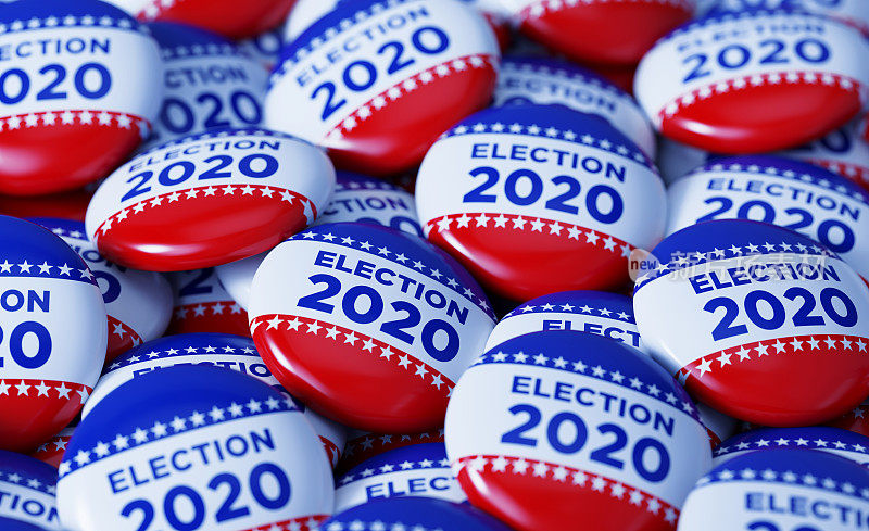 2020年选举书面徽章