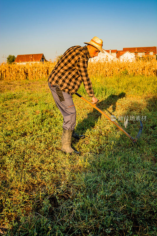 夏天，乡村男子在草地上用经典的镰刀割草