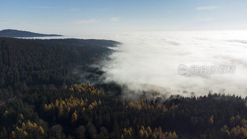 雾和阳光在森林地区-陶努斯山脉。鸟瞰图