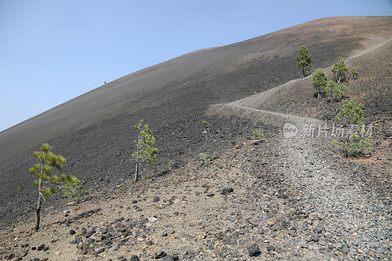 拉森火山国家公园的火山渣锥