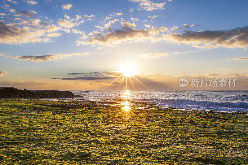 日出时，退潮时海底露出绿色海草